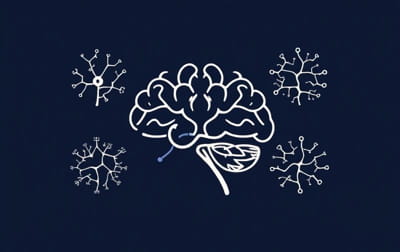 Know The Different Neuronal Phenotypes