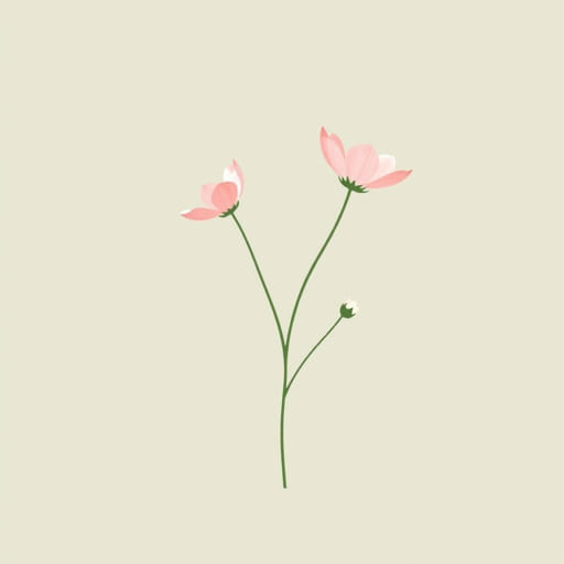 Meaning Of Usurper In The Bible