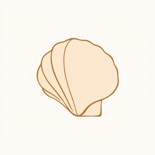 What Is The Meaning Of Seashell?
