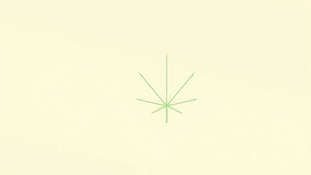 What Guinean Weed Good For?