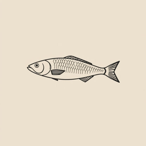 What Is Dried Pollack