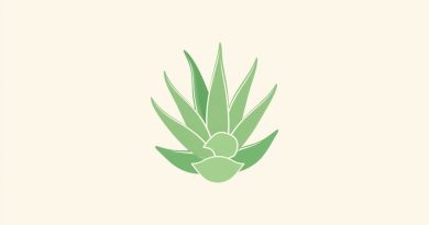 Aloe Vera for Vaginal Dryness