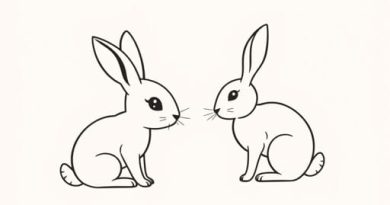 Baby Jackrabbit Vs Cottontail