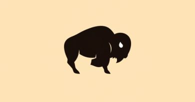 Buffalo Wild Wings Are a