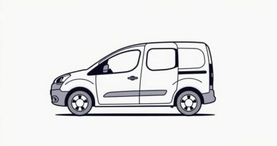 Buy Peugeot Partner Tepee