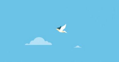 Chamille Alderamin on the Sky