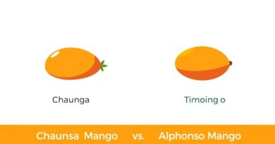 Chaunsa Mango vs Alphonso