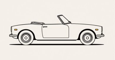 Datsun 2000 Roadster for Sale