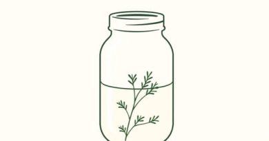 Dill Pickle Brine Recipe