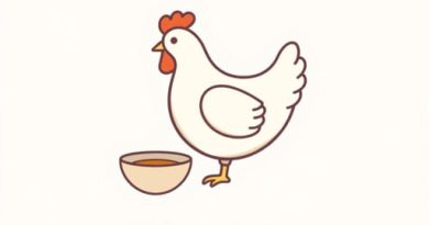 Easy Chicken Souse Recipe