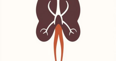 embryology of pituitary gland
