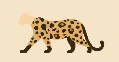 Endangered Amur Leopard Facts