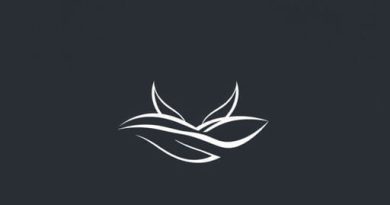 Endless Mercy Tracie Peterson