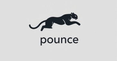 English Meaning of Pounce