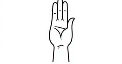 English Meaning of Salute