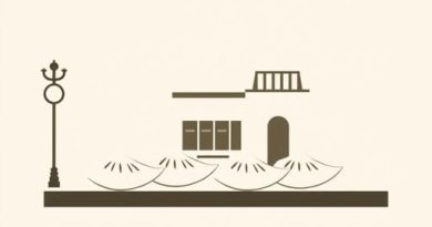 Fancy Dumplings Gouger Street