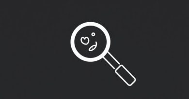 Find Everything MT Doodah