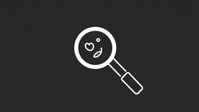 Find Everything MT Doodah