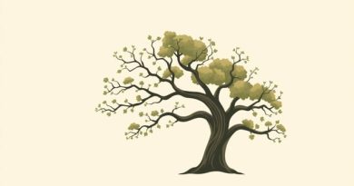 folk of the faraway tree