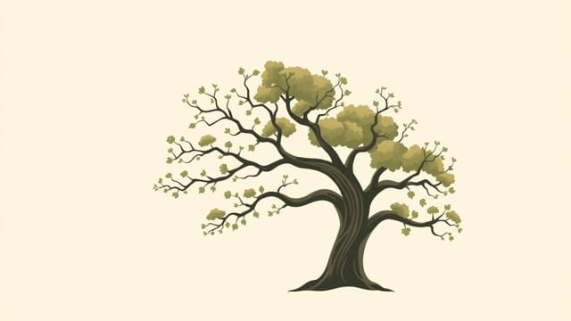 folk of the faraway tree