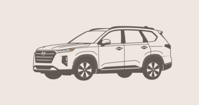 For Sale Hyundai Palisade