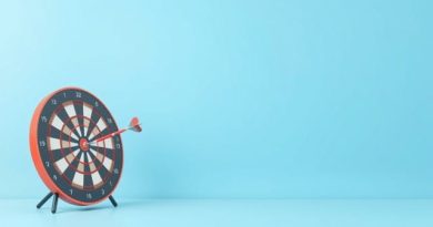 Free Standing Dart Board