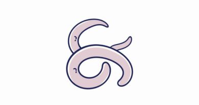 Freeze Dried Gummy Worms