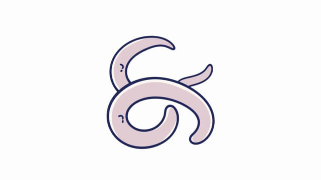 Freeze Dried Gummy Worms