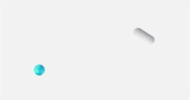 Fungible Meaning in Tamil