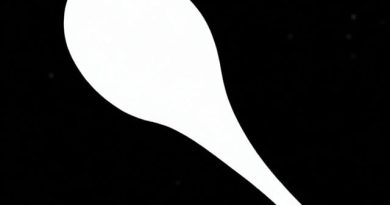 Grossi Laue Riesling 2011