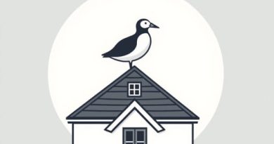 Guillemot Cottage St Ives