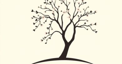 Hotel Jacaranda Avon Park