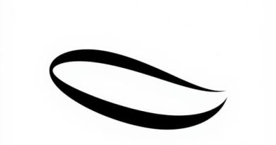 In an Attempt to Meaning