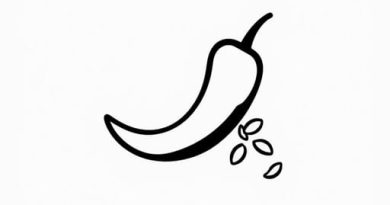 In N Out Chopped Chilies