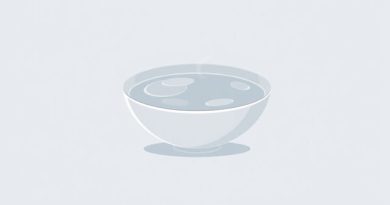 is consomme a clear soup