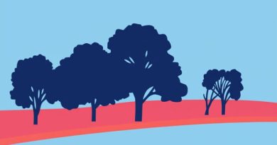 is david hockney pop art