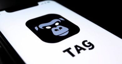 is gorilla tag on mobile