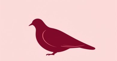 Maroon Chinned Fruit Dove