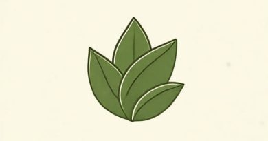 Numi Gunpowder Green Tea