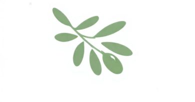 Openwork Olive Branch MS