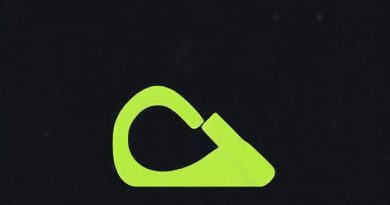 Other Term for Workaround