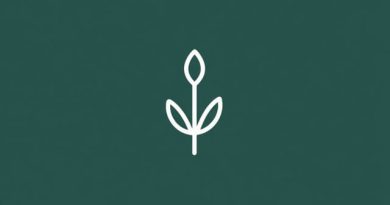 Other Words for Desiccate