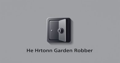The Hatton Garden Robbery