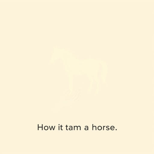 Zelda How to Tame a Horse